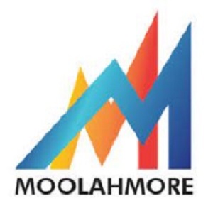 Moolahmore Cash Flow Tool – New Year Sale 50% Discount